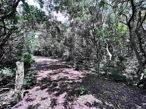 0 Kahanui Acres Pl #A, Hoolehua, HI 96729