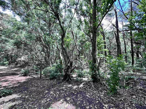 0 Kahanui Acres Pl #B, Hoolehua, HI 96729