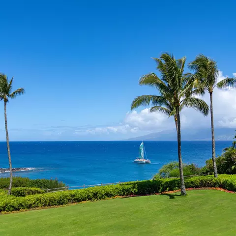 1 Bay Dr #2201, Lahaina, HI 96761