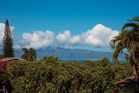 16 Hooia Pl, Lahaina, HI 96761