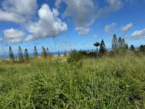Linohau Pl #25, Maunaloa, HI 96770