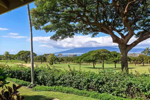 122 Kualapa Pl #22, Lahaina, HI 96761