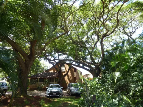 100 Lio Pl #R3, Maunaloa, HI 96770 photo 30
