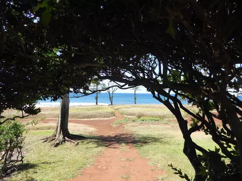 100 Lio Pl #R3, Maunaloa, HI 96770 photo 25