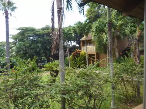 100 Lio Pl #R3, Maunaloa, HI 96770 photo 13