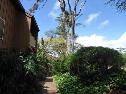 100 Lio Pl #R3, Maunaloa, HI 96770 photo 22