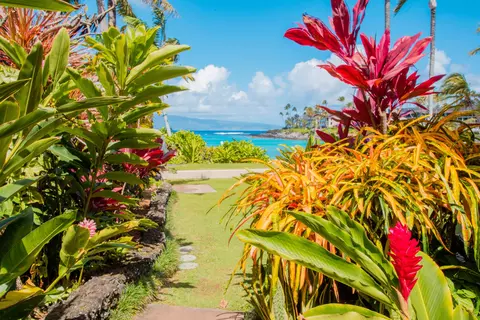 65 Hui Rd H #7, Lahaina, HI 96761