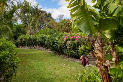 Exterior - 60 Ka Dr, Kula, HI 96790 photo 5 of 9