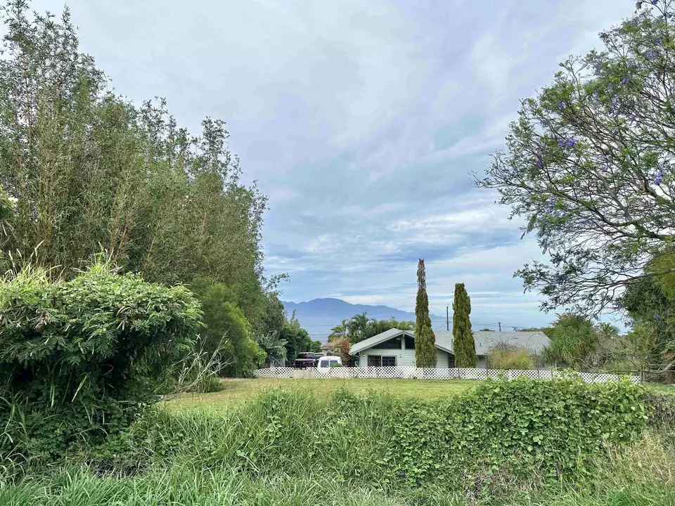  234 Alalani St, Makawao, HI 96768 photo 9