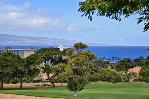 128 Kualapa Pl #128, Lahaina, HI 96761