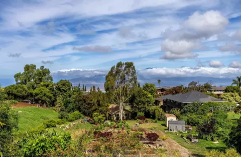 307 Ainakula Rd, Kula, HI 96790 photo 5