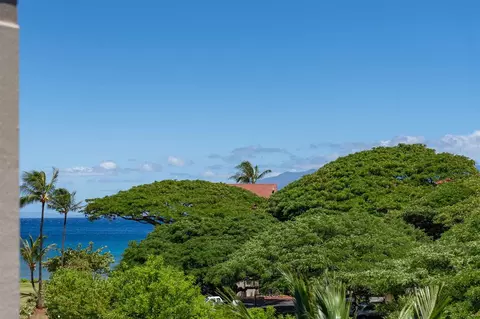 3445 Lower Honoapiilani Rd #432, Lahaina, HI 96761