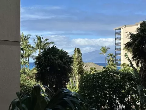 3445 Lower Honoapiilani Rd #339, Lahaina, HI 96761