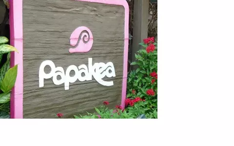 Other - 3543 Lower Honoapiilani Rd #E-307, Lahaina, HI 96761 photo 6 of 6
