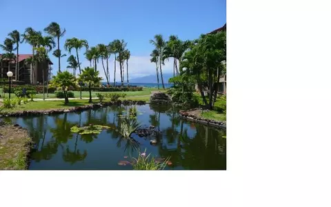 View/Area - 3543 Lower Honoapiilani Rd #E-307, Lahaina, HI 96761 photo 1 of 2