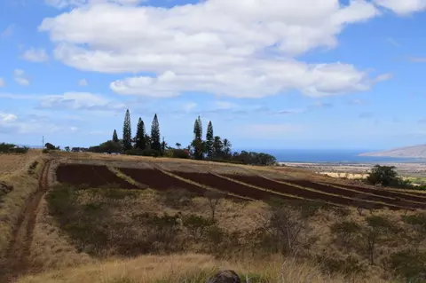 2659 Omaopio Rd, Kula, HI 96790