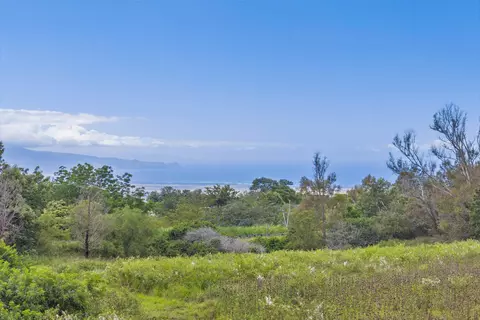 21 Noholoa Pl # 2 AND 3, Kula, HI 96790