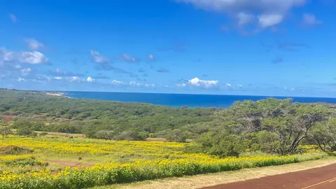 0 Kalua Koi Rd, Maunaloa, HI 96770