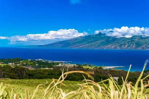 142 Keoawa Pl #25, Lahaina, HI 96761