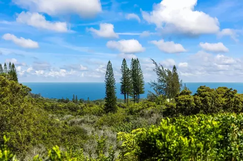 1330 Kauhikoa Rd, Haiku, HI 96708