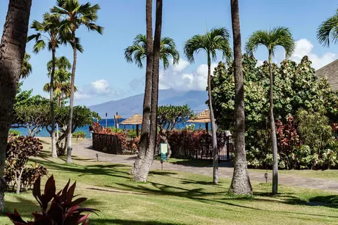 3445 Lower Honoapiilani Rd #153, Lahaina, HI 96761