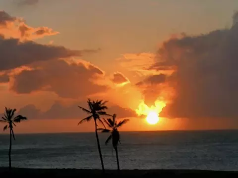 100 Lio Pl #Q3, Maunaloa, HI 96770 photo 35