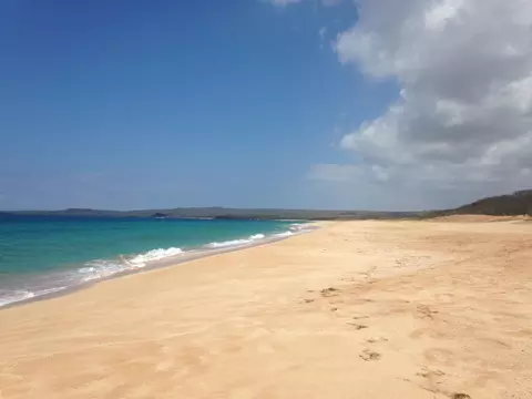 100 Lio Pl #Q3, Maunaloa, HI 96770 photo 34
