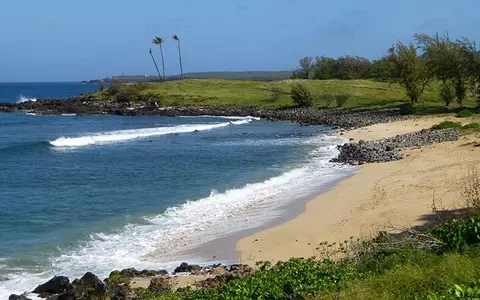 100 Lio Pl #Q3, Maunaloa, HI 96770 photo 31
