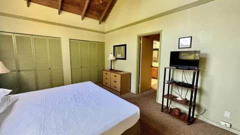 100 Lio Pl #Q3, Maunaloa, HI 96770 photo 17
