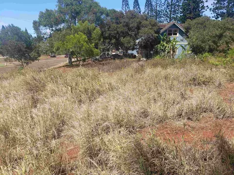 00 Puumalu St, Maunaloa, HI 96770