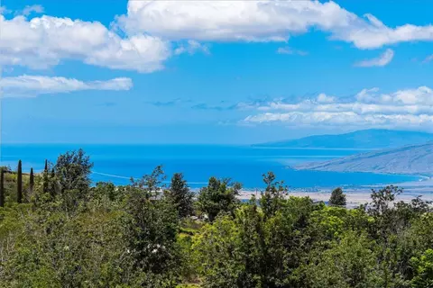 View/Area - 320 Lower Kimo Dr, Kula, HI 96790 photo 2 of 4
