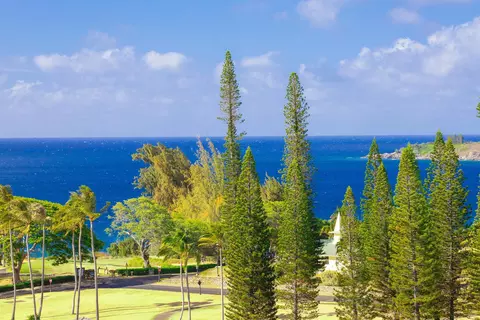 100 Ridge Rd #723, Lahaina, HI 96761
