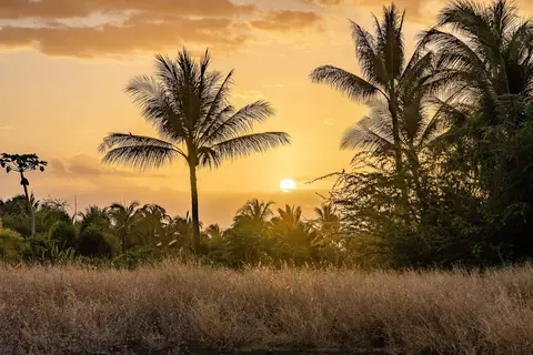 21 Ualei Pl #1, Kihei, HI 96753