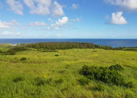 70 Nahele Rd, Haiku, HI 96708 photo 1