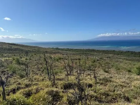 onioni dr LOT 82, Kaunakakai, HI 96748