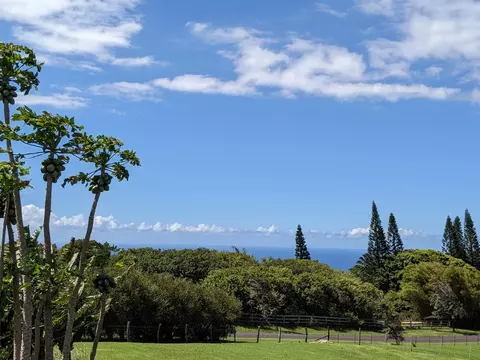 View/Area - 134 Uakoko Pl, Haiku, HI 96708 photo 4 of 5