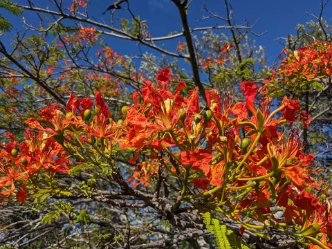 Other - 134 Uakoko Pl, Haiku, HI 96708 photo 7 of 8