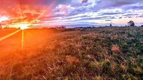 179 Kaluanui Rd UNIT A, Makawao, HI 96768