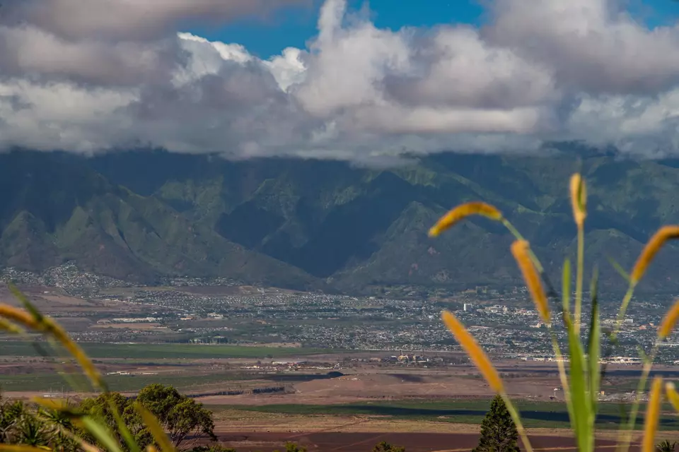 View/Area - 84 Loha St UNIT C, Makawao, HI 96768 photo 10 of 12
