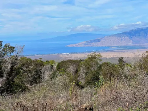 0 Kamehameiki Rd #0, Kula, HI 96790