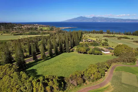 309 Plantation Estates Dr, Lahaina, HI 96761