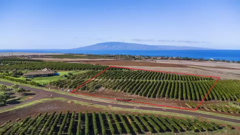 517 Oka Kope Rd, Lahaina, HI 96761