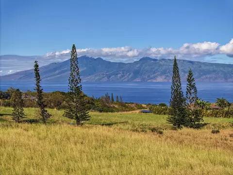 98 Keoawa Pl #8, Lahaina, HI 96761