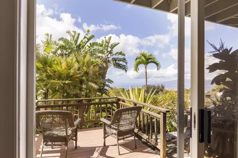 25 Kau St, Kula, HI 96790 photo 33