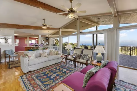 25 Kau St, Kula, HI 96790 photo 5