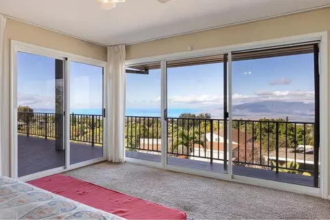 25 Kau St, Kula, HI 96790 photo 16