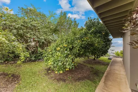 25 Kau St, Kula, HI 96790 photo 42