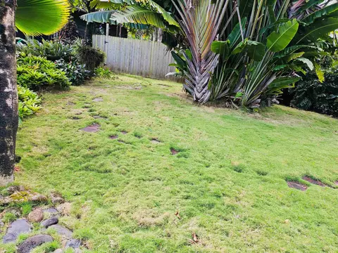 4080 Aliikoa Pl, Haiku, HI 96708 photo 7