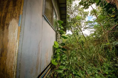 77 Peahi Rd, Haiku, HI 96708 photo 18