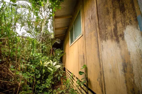 77 Peahi Rd, Haiku, HI 96708 photo 17